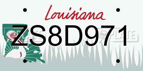 ZS8D971 Louisiana License Plate