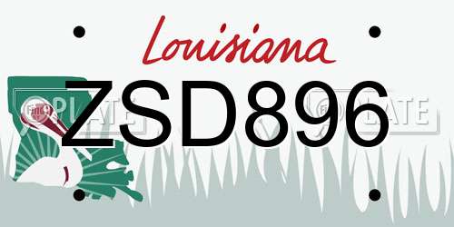 ZSD896 Louisiana License Plate