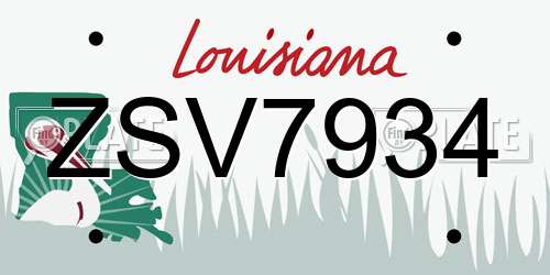 ZSV7934 Louisiana License Plate