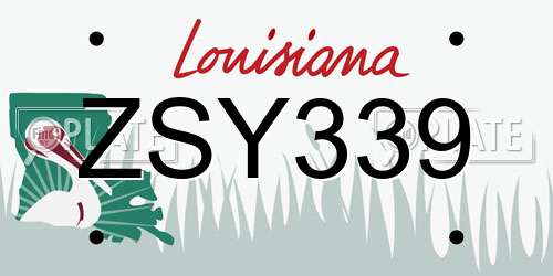 ZSY339 Louisiana License Plate