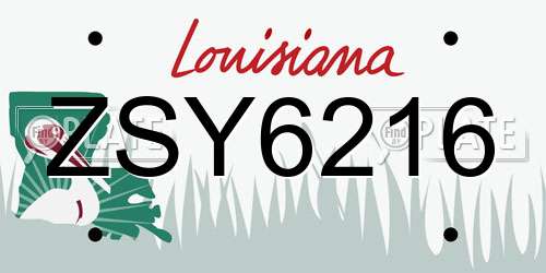 ZSY6216 Louisiana License Plate