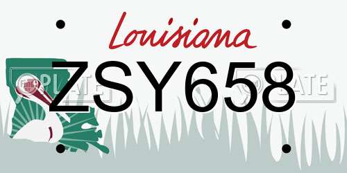 ZSY658 Louisiana License Plate