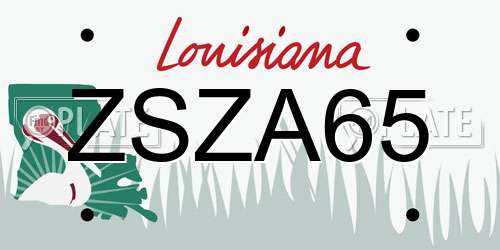 ZSZA65 Louisiana License Plate