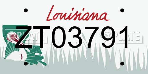 ZT03791 Louisiana License Plate
