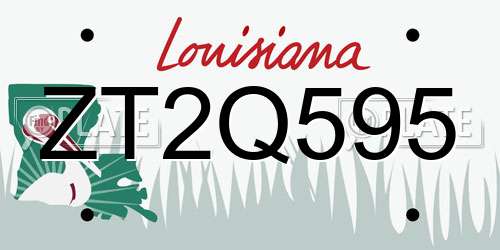 ZT2Q595 Louisiana License Plate
