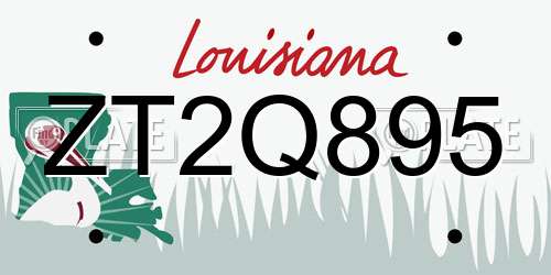 ZT2Q895 Louisiana License Plate