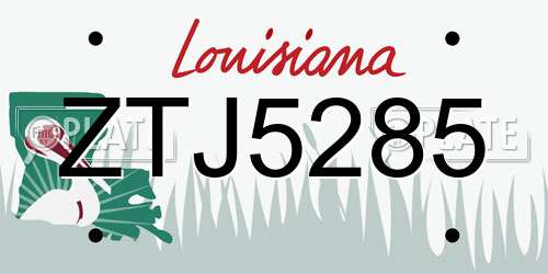 ZTJ5285 Louisiana License Plate