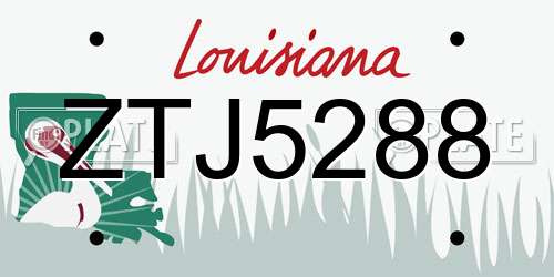 ZTJ5288 Louisiana License Plate