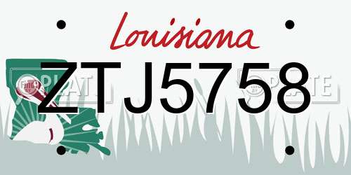 ZTJ5758 Louisiana License Plate
