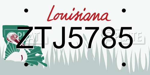 ZTJ5785 Louisiana License Plate
