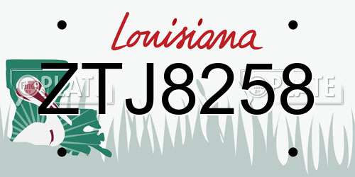 ZTJ8258 Louisiana License Plate