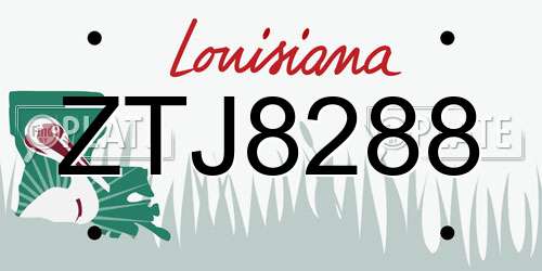 ZTJ8288 Louisiana License Plate