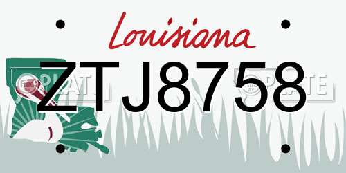 ZTJ8758 Louisiana License Plate