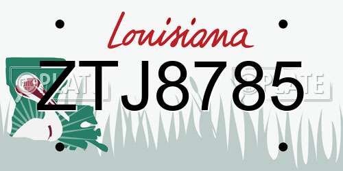 ZTJ8785 Louisiana License Plate