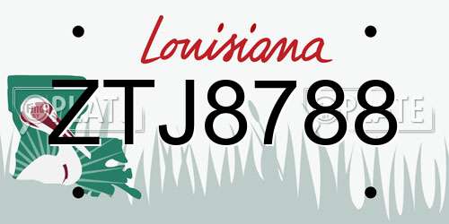 ZTJ8788 Louisiana License Plate