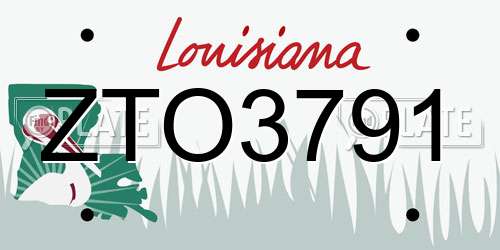 ZTO3791 Louisiana License Plate