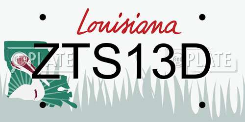 ZTS13D Louisiana License Plate