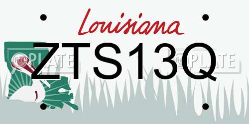 ZTS13Q Louisiana License Plate