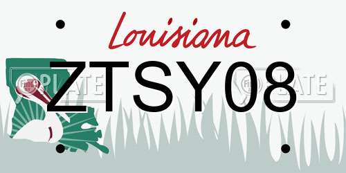 ZTSY08 Louisiana License Plate