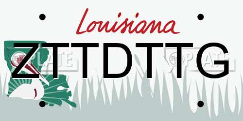 ZTTDTTG Louisiana License Plate