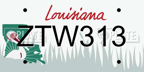 ZTW313 Louisiana License Plate