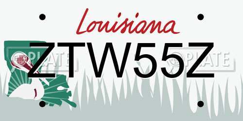 ZTW55Z Louisiana License Plate