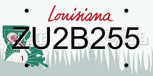 ZU2B255 Louisiana License Plate