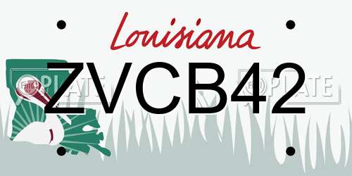 ZVCB42 Louisiana License Plate