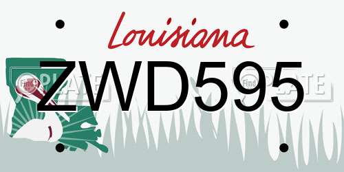 ZWD595 Louisiana License Plate