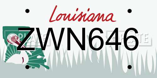 ZWN646 Louisiana License Plate