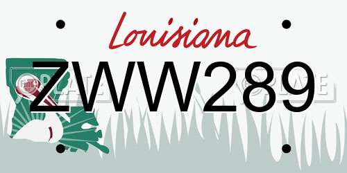 ZWW289 Louisiana License Plate