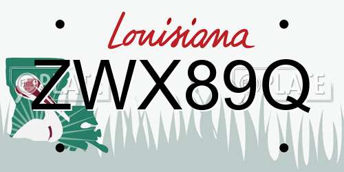 ZWX89Q Louisiana License Plate