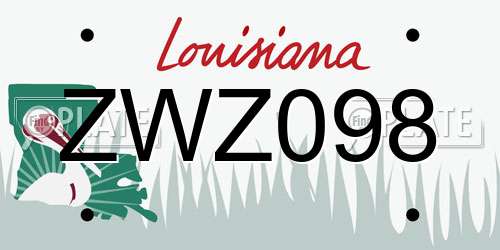 ZWZ098 Louisiana License Plate