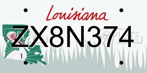 ZX8N374 Louisiana License Plate