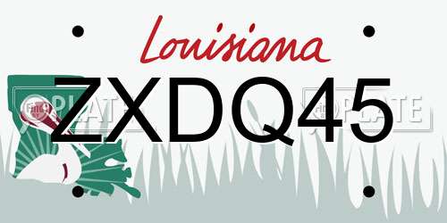 ZXDQ45 Louisiana License Plate