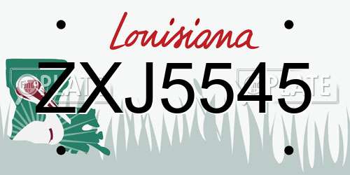 ZXJ5545 Louisiana License Plate