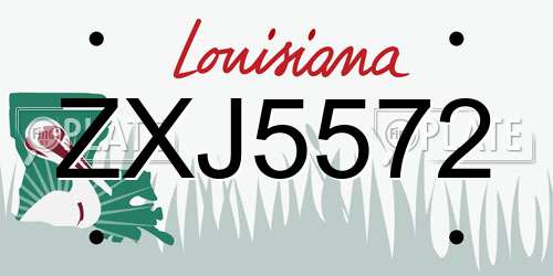 ZXJ5572 Louisiana License Plate