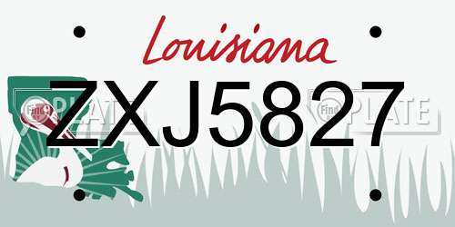 ZXJ5827 Louisiana License Plate