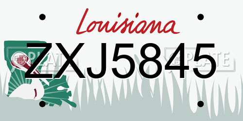 ZXJ5845 Louisiana License Plate