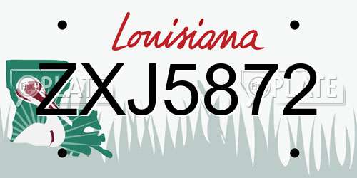 ZXJ5872 Louisiana License Plate