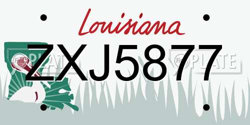 ZXJ5877 Louisiana License Plate