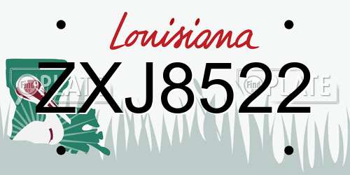 ZXJ8522 Louisiana License Plate