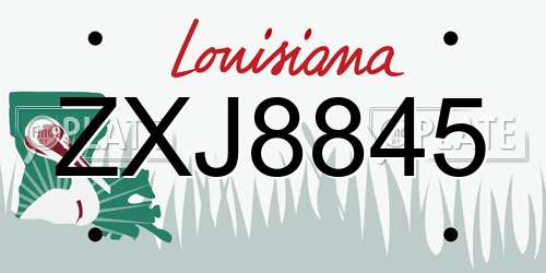 ZXJ8845 Louisiana License Plate