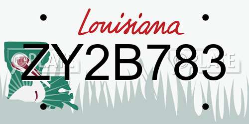 ZY2B783 Louisiana License Plate