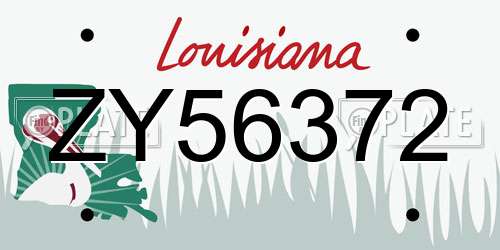 ZY56372 Louisiana License Plate
