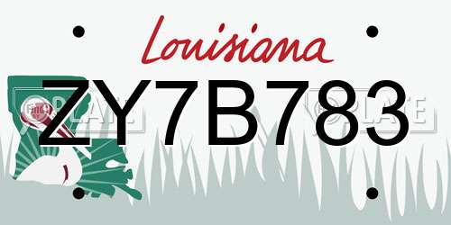 ZY7B783 Louisiana License Plate