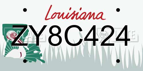 ZY8C424 Louisiana License Plate