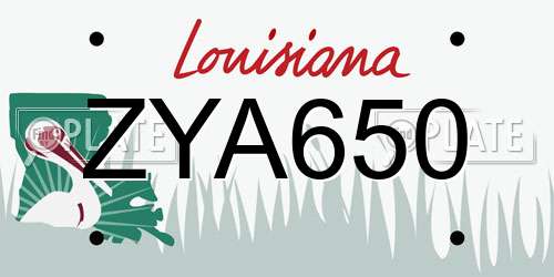 ZYA650 Louisiana License Plate