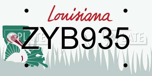 ZYB935 Louisiana License Plate