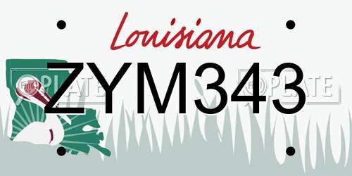 ZYM343 Louisiana License Plate